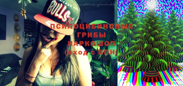 винт Алексин