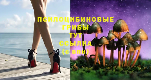 прущая мука Арсеньев