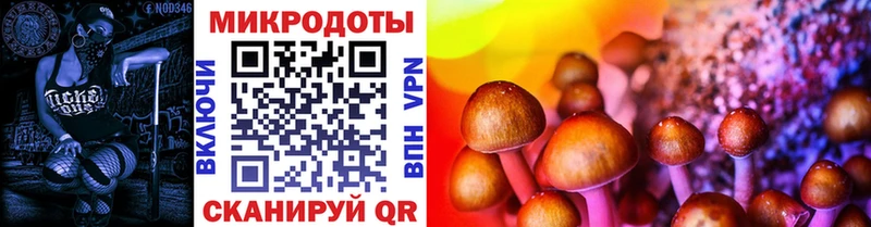 Галлюциногенные грибы мицелий Нижнеудинск